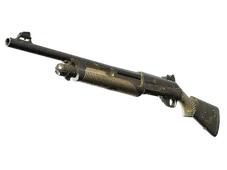 Skin's image