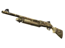 Skin's image