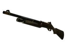Skin's image