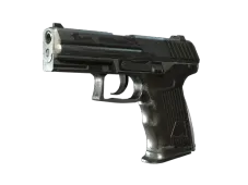 Skin's image