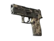 Skin's image