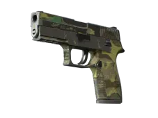 P250 | Boreal Forest