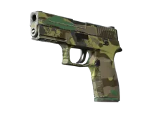 P250 | Boreal Forest