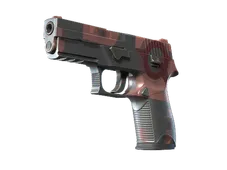P250 | Constructivist