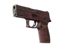 P250 | Contaminant