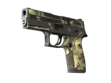 P250 | Contamination