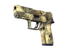 P250 | Contamination