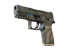 P250 | Exchanger