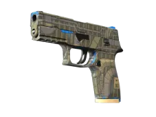 P250 | Exchanger