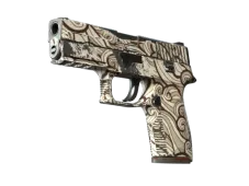 P250 | Gunsmoke (Field-Tested)