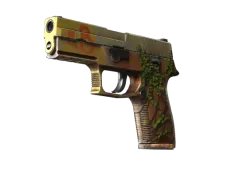 P250 | Inferno
