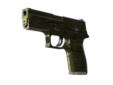 P250 | Iron Clad