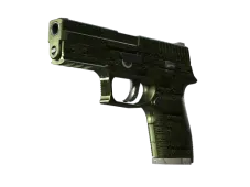 P250 | Iron Clad