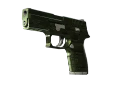 P250 | Iron Clad