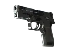 P250 | Metallic DDPAT
