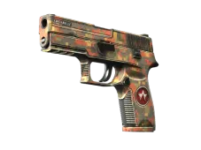 P250 | Red Rock