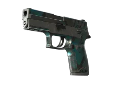 StatTrak™ P250 | Plätschern