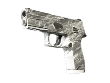P250 | Sleet