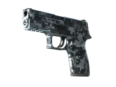 P250 | Steel Disruption
