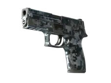 P250 | Steel Disruption