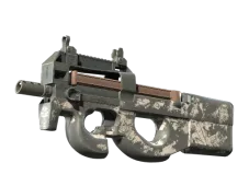 Skin's image