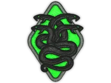 Skin's image