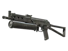 Skin's image