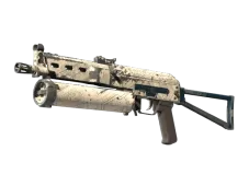 Skin's image