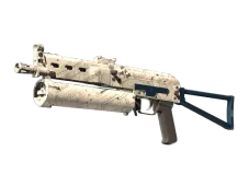 Skin's image