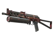 Skin's image