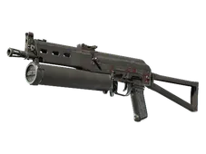 Skin's image