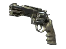 Skin's image