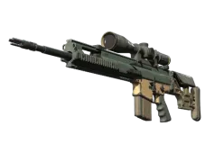 Skin's image