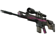 Skin's image