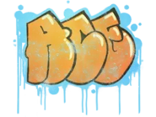 Skin's image
