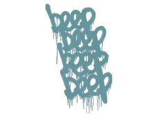 Skin's image