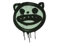 Skin's image