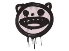 Skin's image