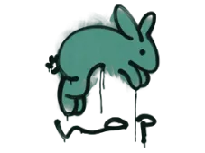 Skin's image