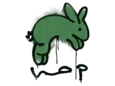 Skin's image