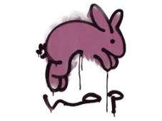 Skin's image