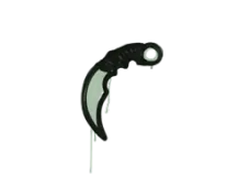 Sealed Graffiti | Karambit (Cash Green)