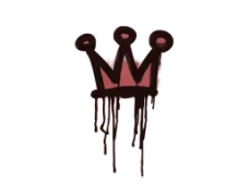 Skin's image