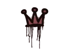 Skin's image