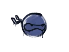 Skin's image