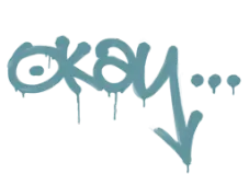 Skin's image