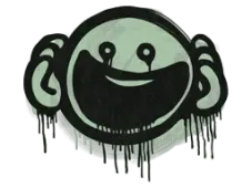 Skin's image