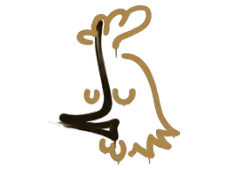 Skin's image