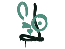 Skin's image