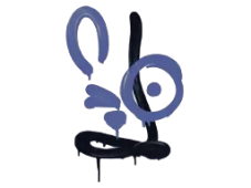 Skin's image